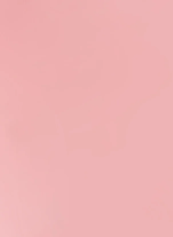 pet kuafor pet kuafor atasehir izmir