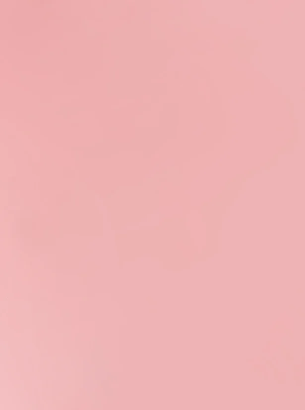 Pet Kuafor Pet Kuafor Atasehir Izmir