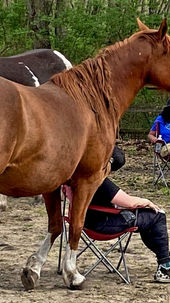 BREAKING FREE- Recovering People Pleaser