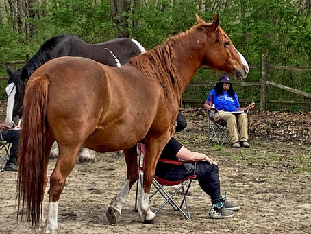 BREAKING FREE- Recovering People Pleaser