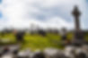 AdobeStock_98697218.jpeg