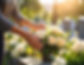 AdobeStock_1558448099.jpeg