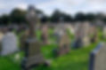 AdobeStock_544066328.jpeg