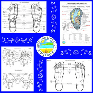 Auckland School of Reflexology