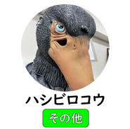 メンバー紹介　ハシビロコウ.jpg