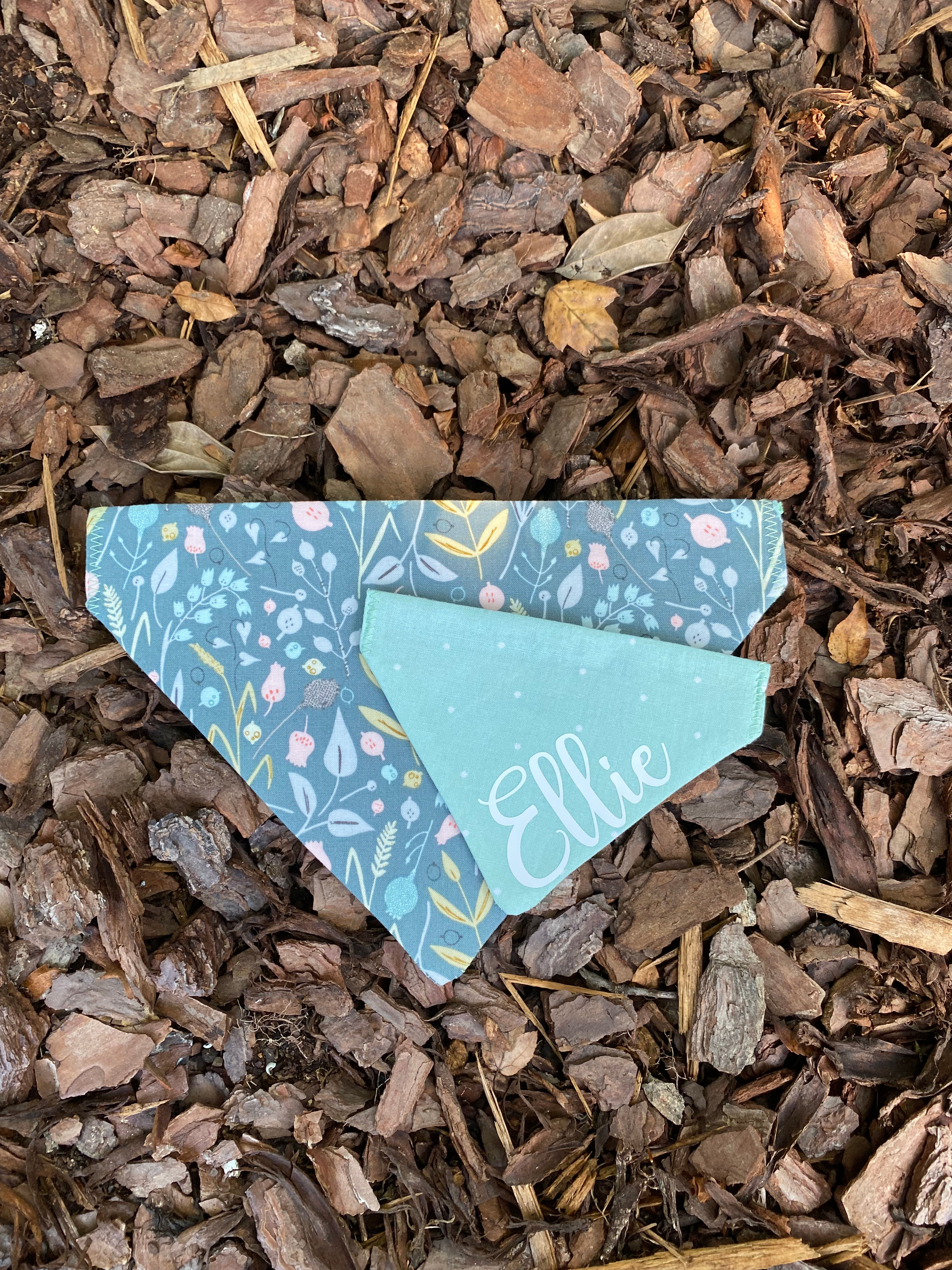Sage & Mint Green Reversible Pet Bandannas