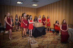 Heart Ball 2017_ 1017