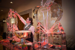 Heart Ball 2017_ 1042