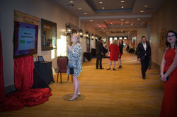 Heart Ball 2017_ 1029