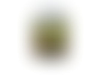 CÔJEGO : Quand sécurité et responsabilité sociétale vont de pair