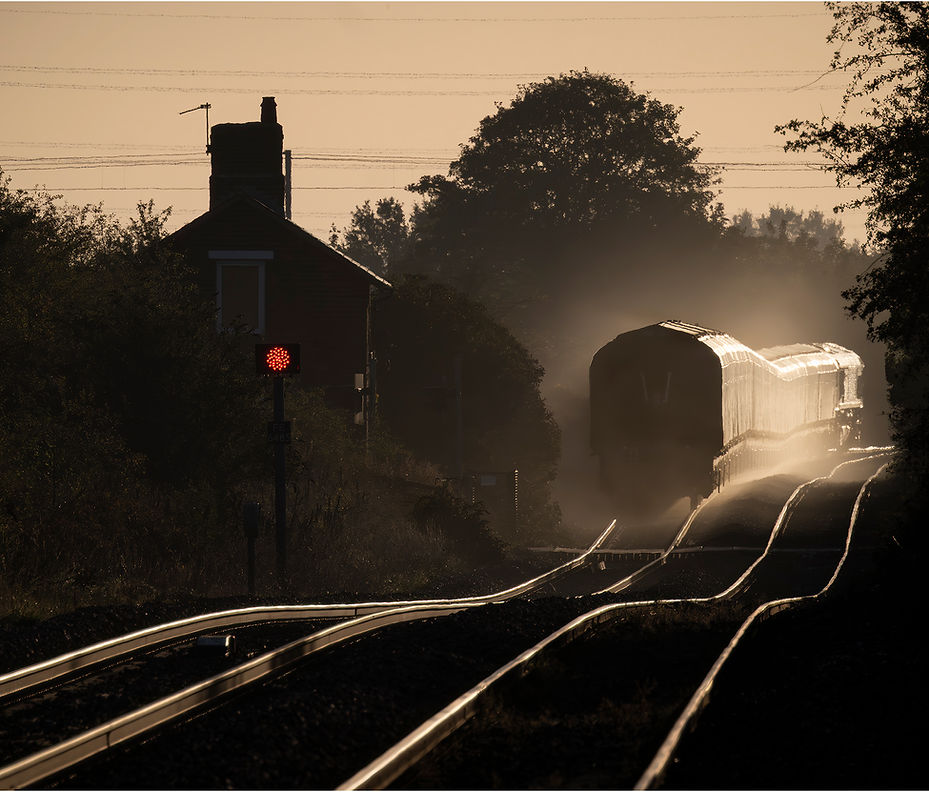 Etherial Biomass by Nigel Power