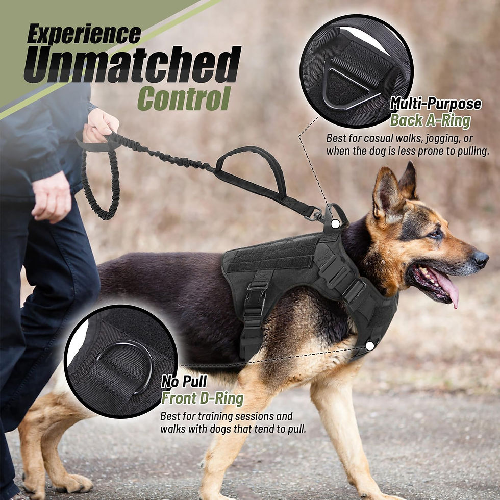 Thumbnail: Tactical Dog Vest Harness – 3-in-1 Collar with Bungee Leash Set
