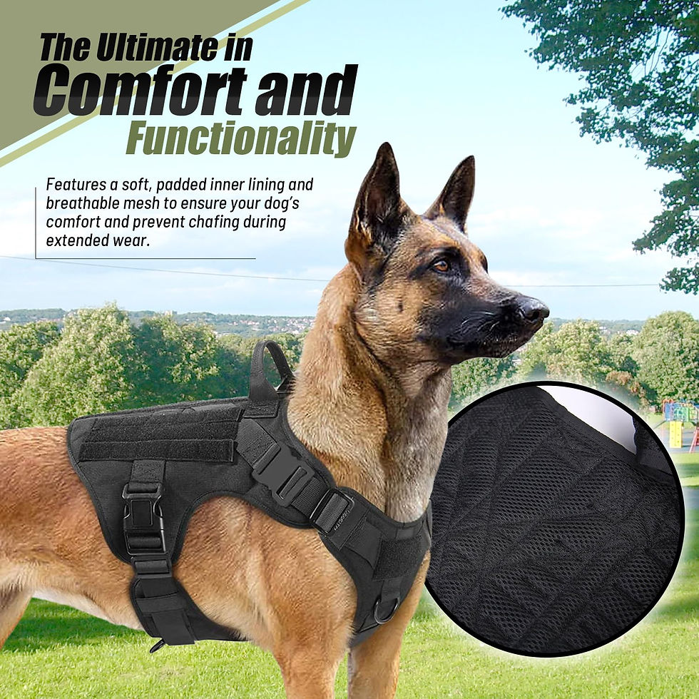 Thumbnail: Tactical Dog Vest Harness – 3-in-1 Collar with Bungee Leash Set