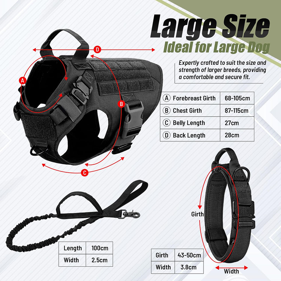 Thumbnail: Tactical Dog Vest Harness – 3-in-1 Collar with Bungee Leash Set
