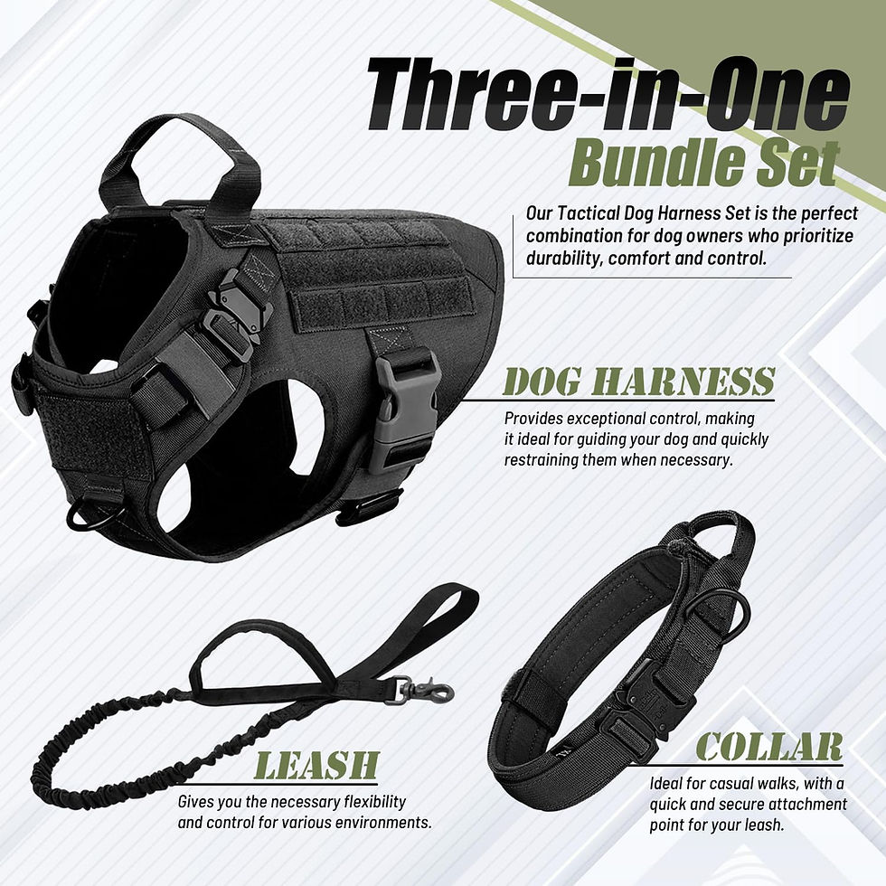 Thumbnail: Tactical Dog Vest Harness – 3-in-1 Collar with Bungee Leash Set