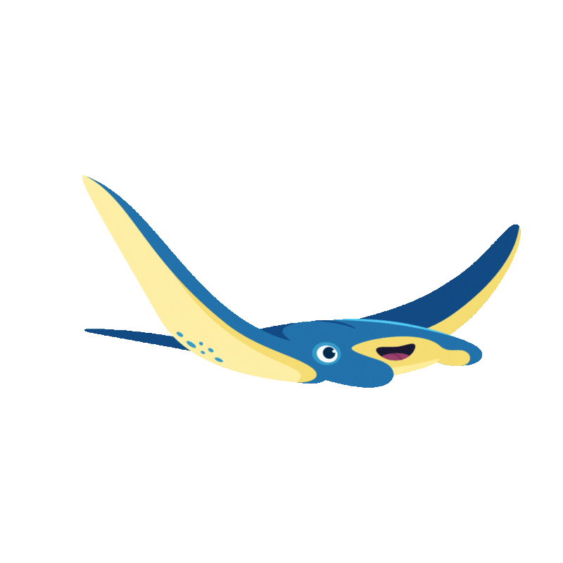 Kona Flipped 4 sec.gif