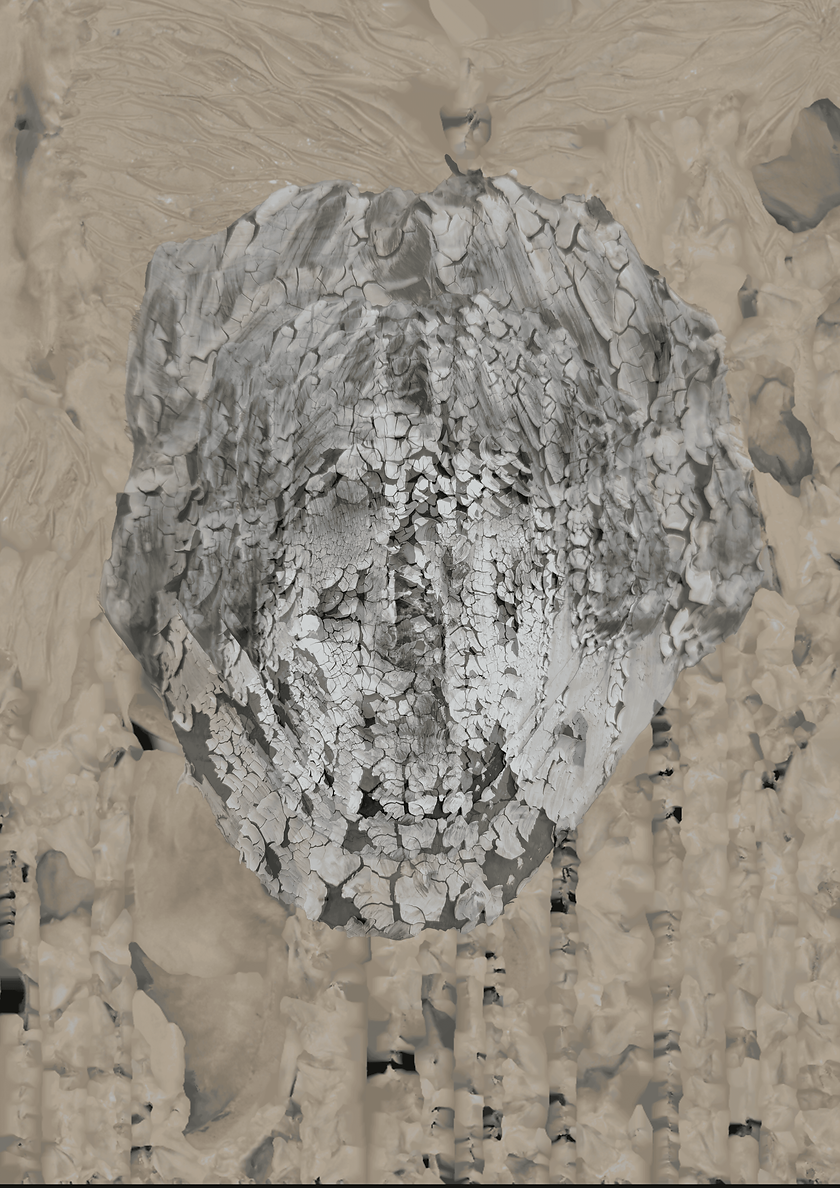 Fracture.png
