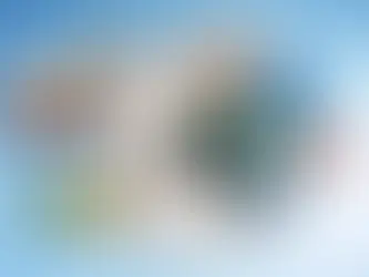 Documentos para sacar una fianza en México