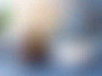 Mejores pólizas judiciales para tu caso