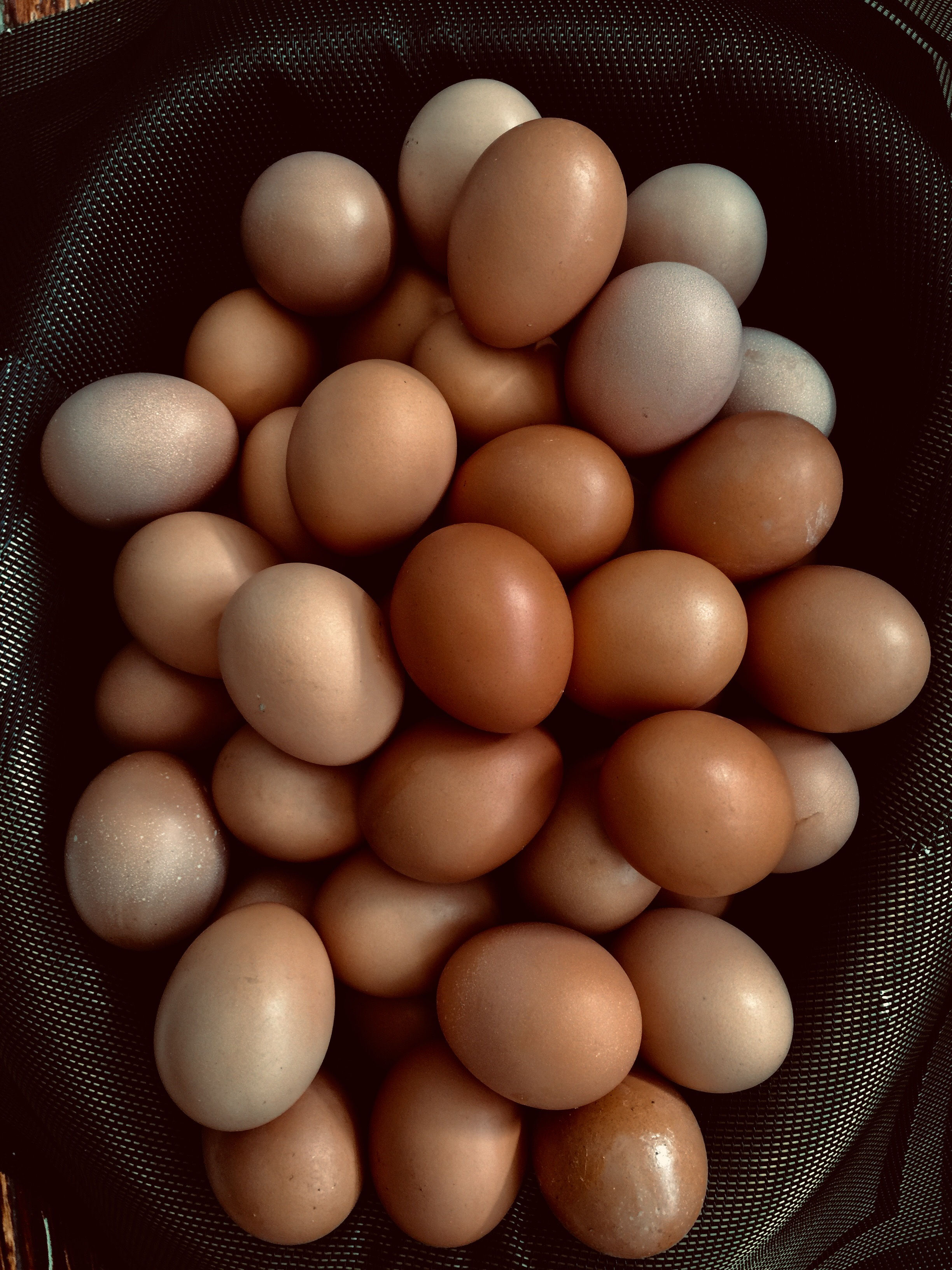 Organic Brown Eggs - Large 30 pcs