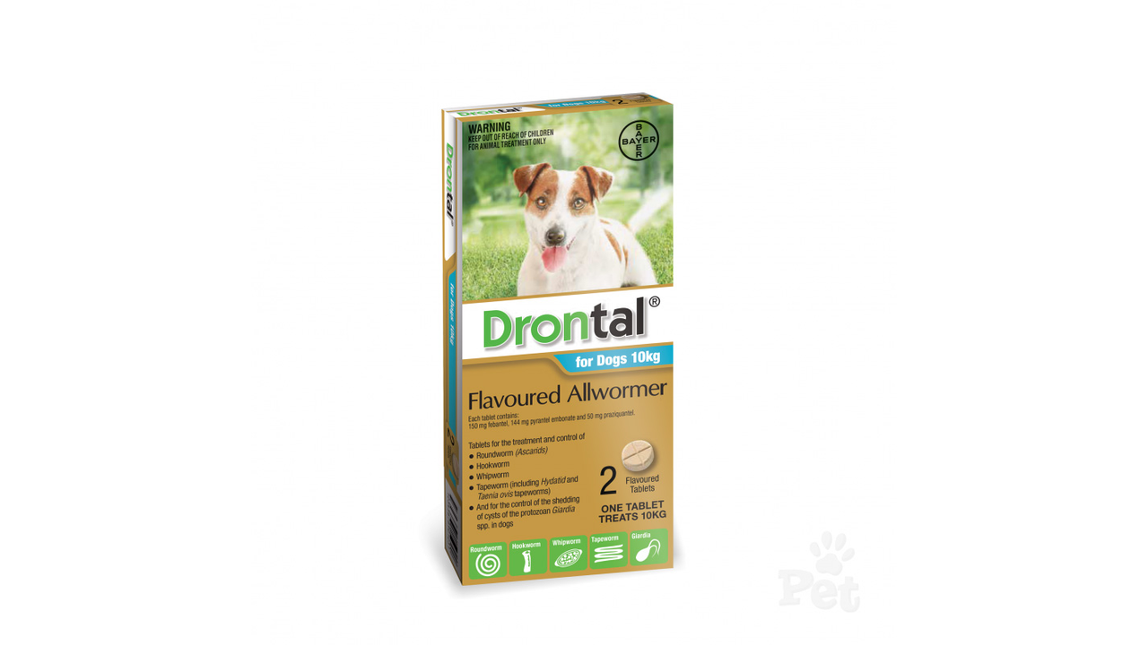 Drontal All Wormer Dog