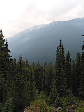 20260802_112718.jpg