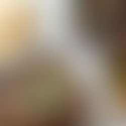 Red Wine Olive Tapenade