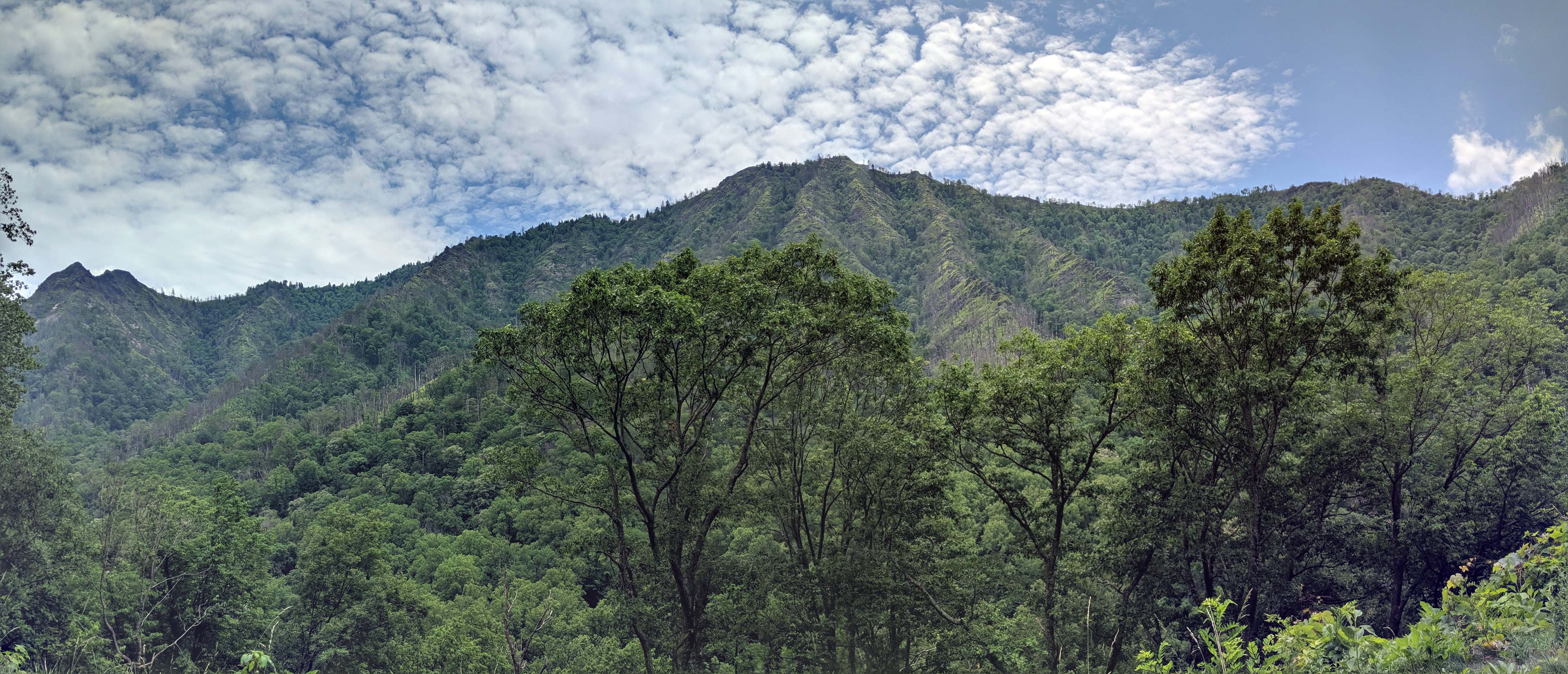 IMG_20190615_141220-PANO