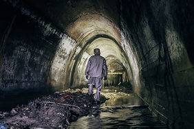 AdobeStock_169630705.jpeg