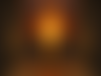 The Book of Shadow and Flame 