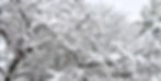 Wintereinbruch in Braunschweig