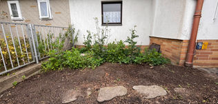 Gerodete Fläche vor Neuanlage eines Gartenbeets