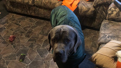 IMG_1651.jpeg