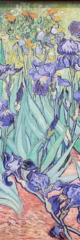 Van Gogh 1889 Irises