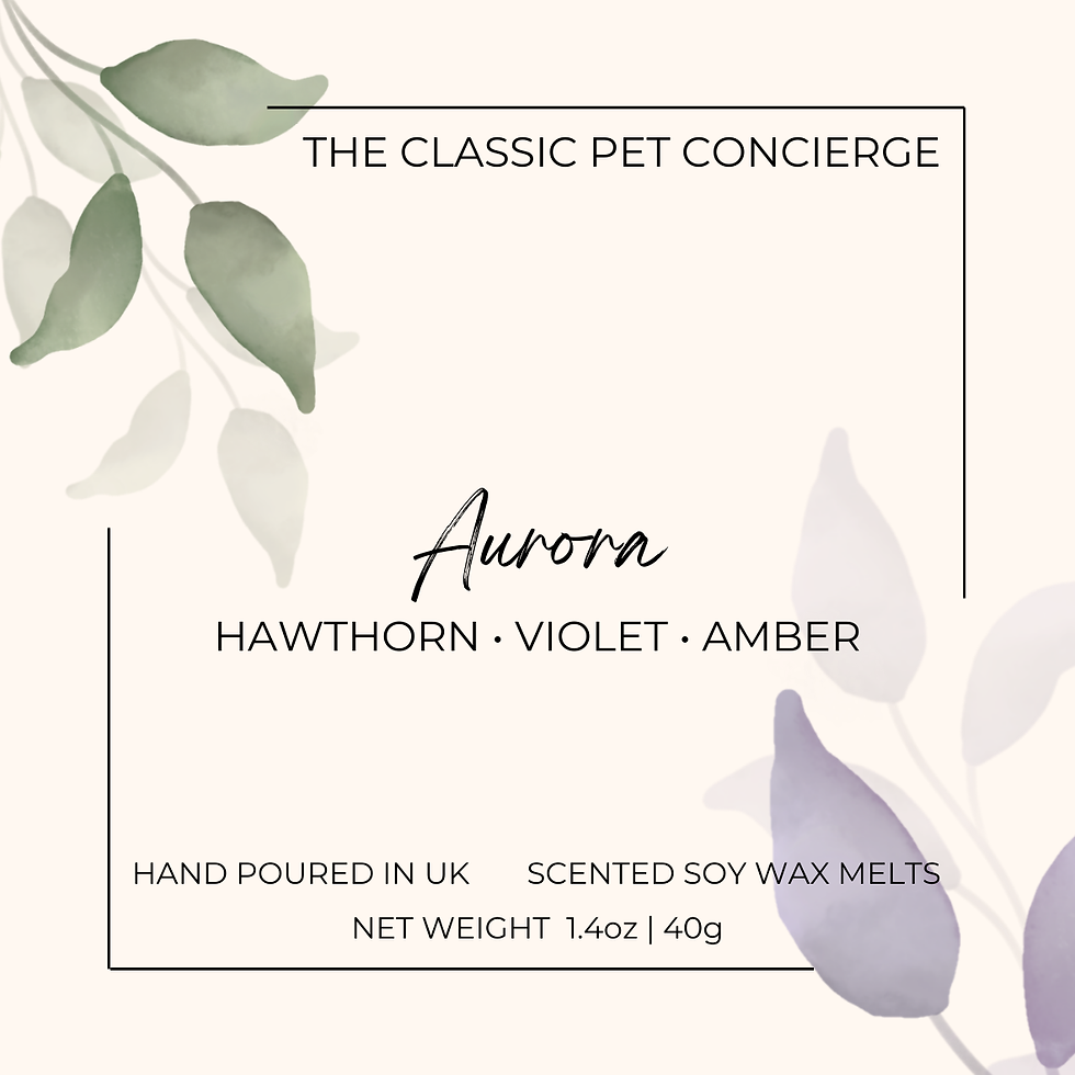 Thumbnail: A Aurora Soy Wax Melt label. Background is beige coloured, with green coloured and purple coloured leaves.