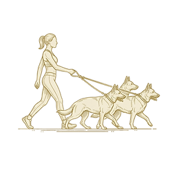 Illustration of person walking three dogs on lead representing small group walks and social exercise.