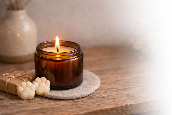 A photograph on an lit candle in an amber-coloured glass jar, with two paw print wax melts, laid out on a table with a vase and coaster.