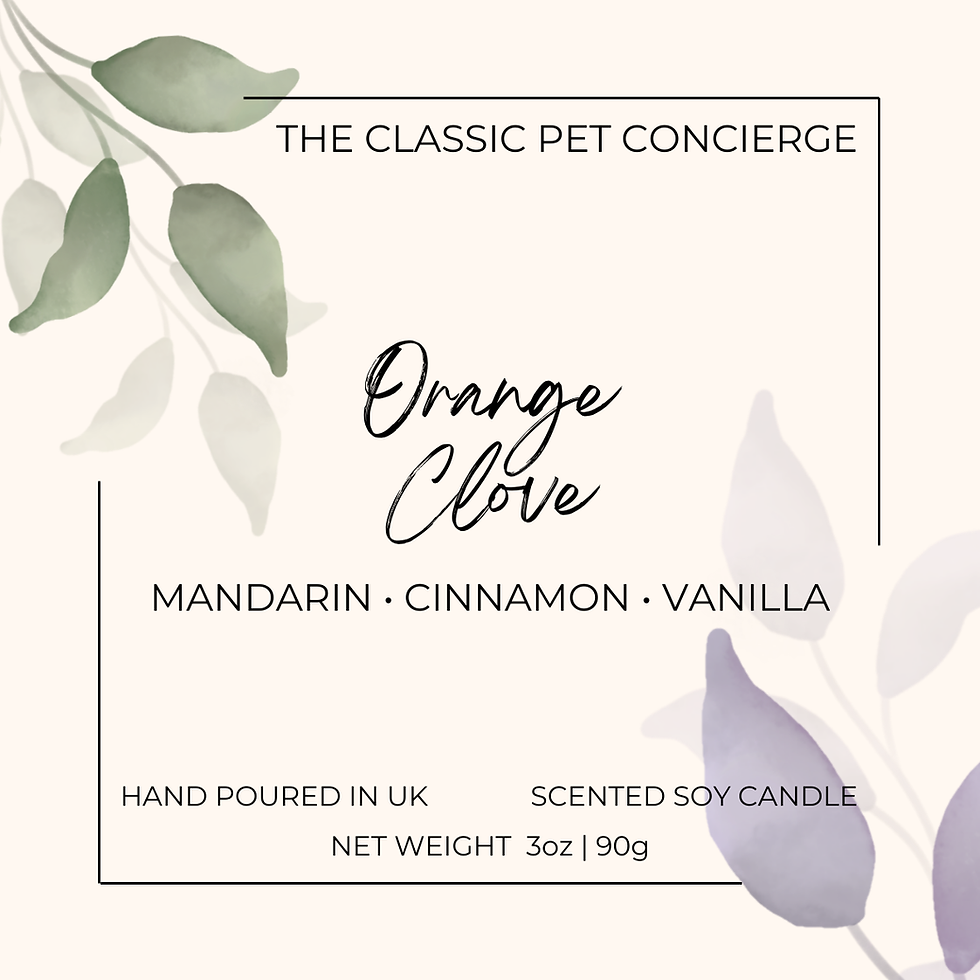 A Orange Clove Soy Candle label. Background is beige coloured, with green coloured and purple coloured leaves.