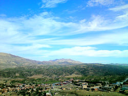 DSC05807 (2)