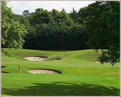golf course (2).jpg