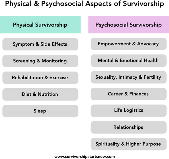 12 Areas of Cancer Survivorship