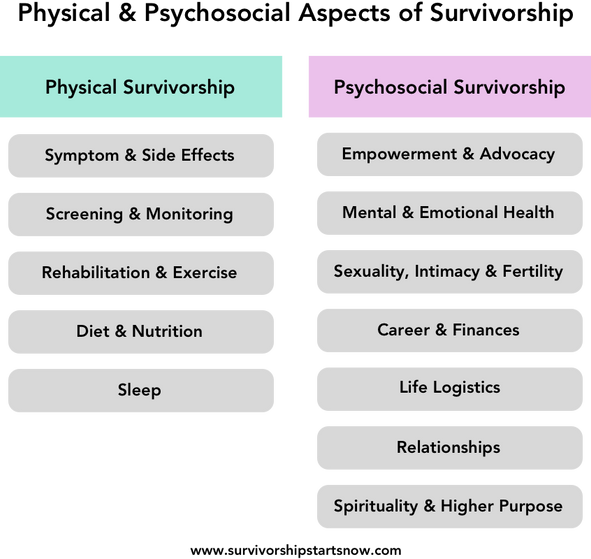 12 Areas of Cancer Survivorship