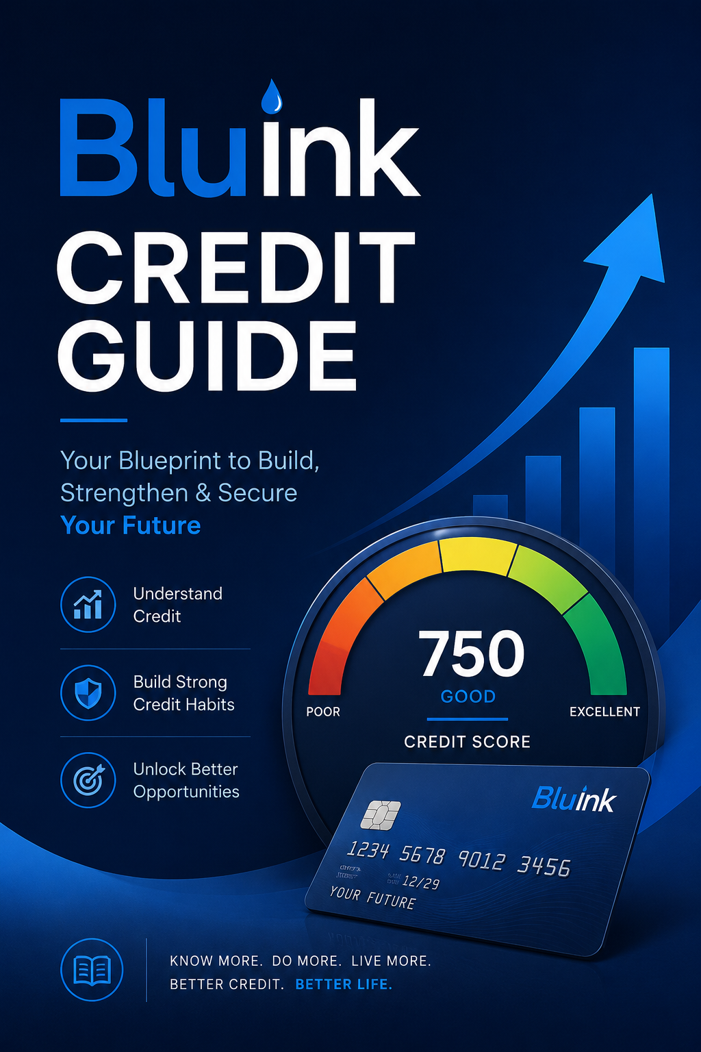BluInk Ultimate Credit Guide