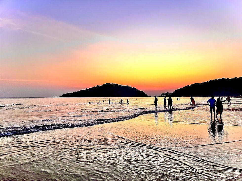 Goa_PalolemBeach_LocalCuisine_DiningOptions.jpg