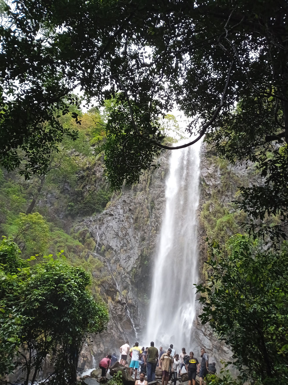 agonda-beach-hotel-market-analysis-july-2025-data