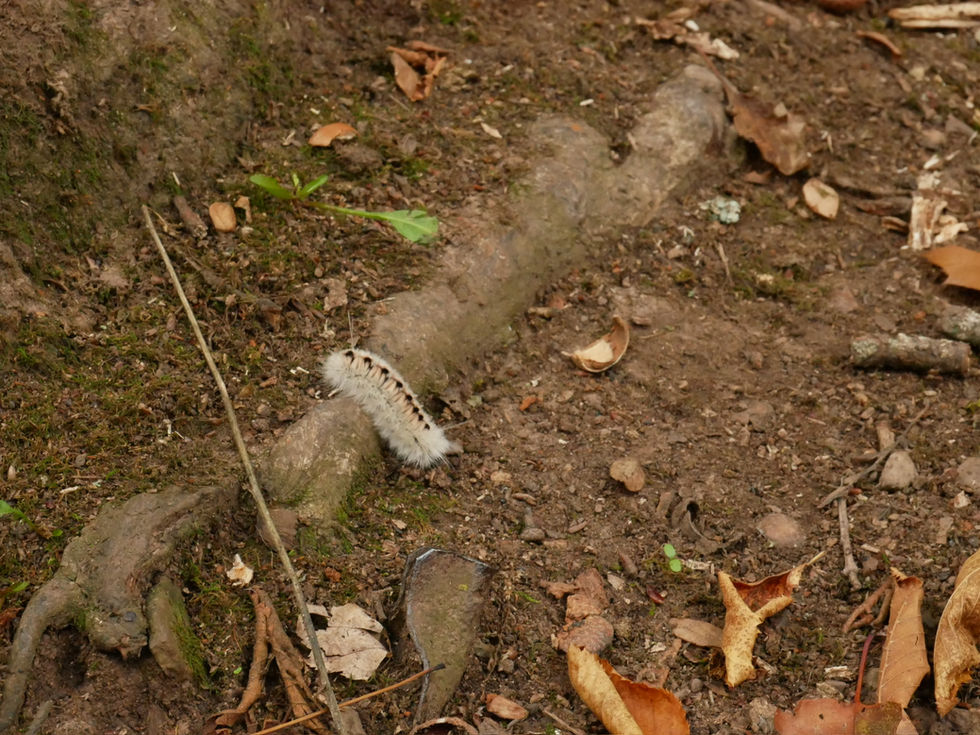 01c1bb69613c3631d1079beaaa15ad8b1d67d2d912