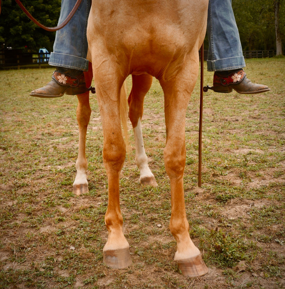 0101064f1cf17e6bb6e61a7e02fddc8a157c676db5