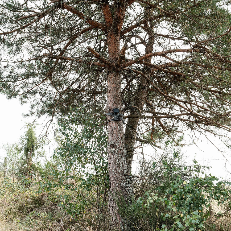 01.10.25-cameraloup-1-3