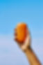 FUSSY_EXTRAS59.jpg