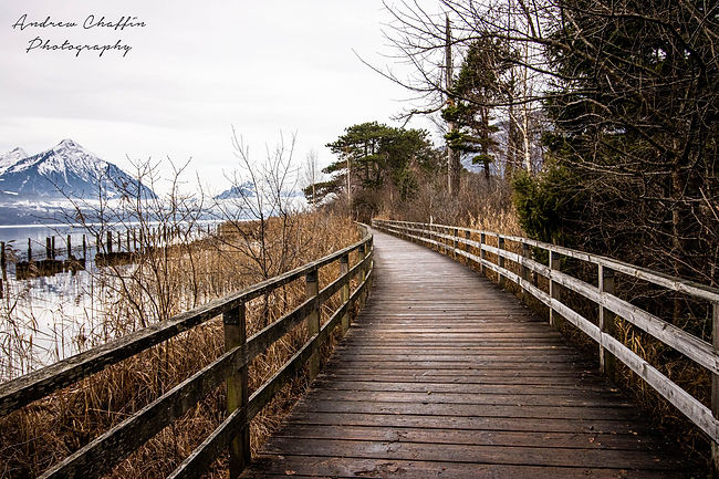 Walkway of Lake Thunersee.jpg